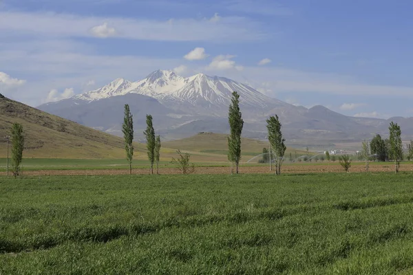 Erciyes Mountain Είναι Ένα Ηφαίστειο Που Βρίσκεται Στην Περιοχή Της — Φωτογραφία Αρχείου