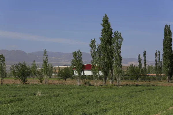 Erciyes Mountain Een Vulkaan Regio Midden Anatolië Sultansazl Ten Zuidwesten — Stockfoto