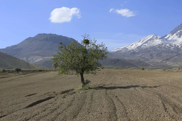 Der Berg Erciyes Ist Ein Vulkan Zentralanatolien Sultansazl Südwestlich Von — Stockfoto