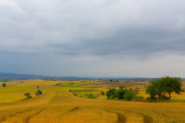 Tekirdağ yolunda tarlalar.