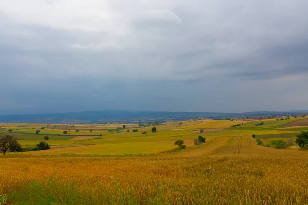 Campos Cultivo Carretera Tekirdag Turquía — Foto de Stock