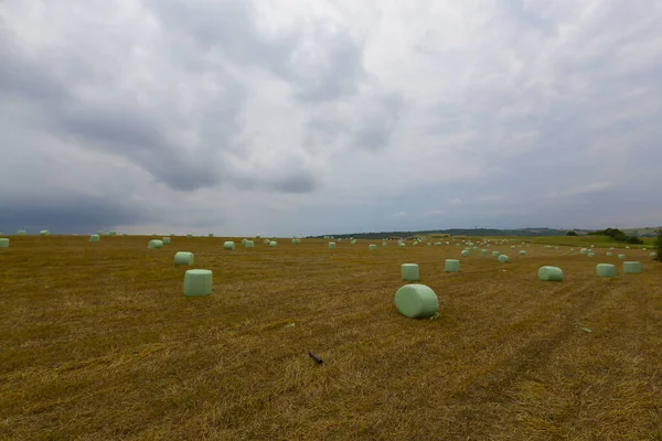 Tekirdağ Yolunda Tarlalar — Stok fotoğraf