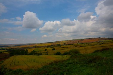 Tekirdağ yolunda tarlalar.
