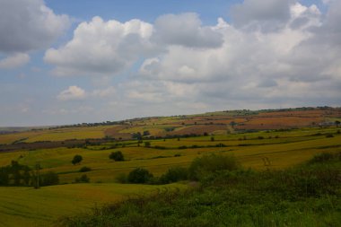 Tekirdağ yolunda tarlalar.