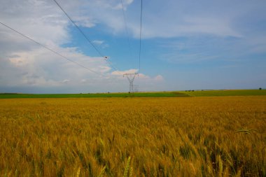 Tekirdağ yolunda tarlalar.