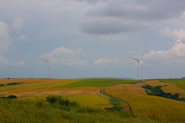 Tekirdağ yolunda tarlalar.