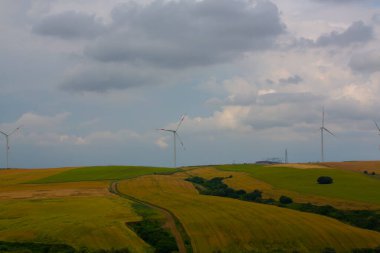 Tekirdağ yolunda tarlalar.