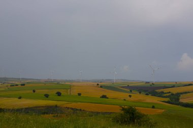 Tekirdağ yolunda tarlalar.