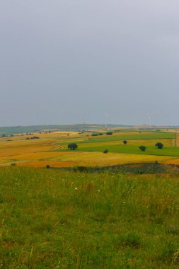 Tekirdağ yolunda tarlalar.