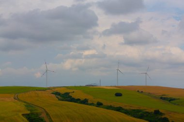 Tekirdağ yolunda tarlalar.