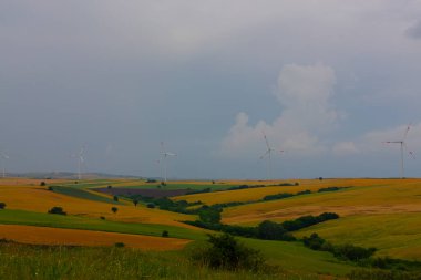 Tekirdağ yolunda tarlalar.