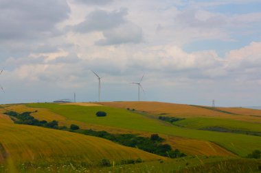 Tekirdağ yolunda tarlalar.
