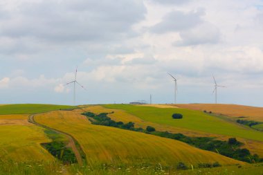 Tekirdağ yolunda tarlalar.