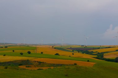 Tekirdağ yolunda tarlalar.