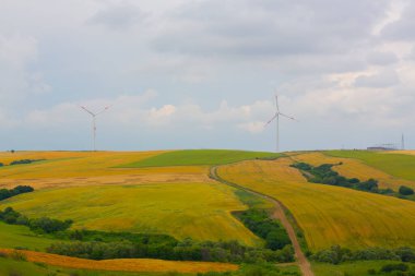 Tekirdağ yolunda tarlalar.