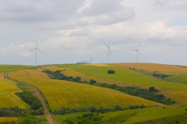Tekirdağ yolunda tarlalar.