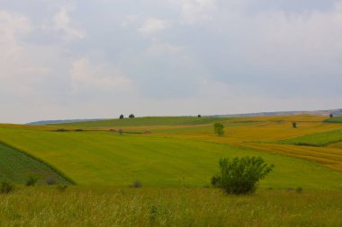 Tekirdağ yolunda tarlalar.