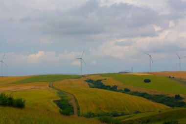 Tekirdağ yolunda tarlalar.