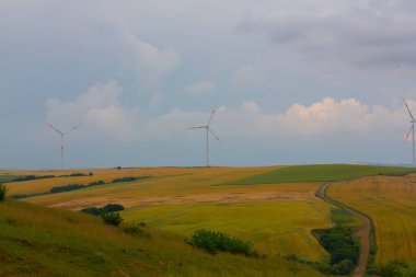 Tekirdağ yolunda tarlalar.