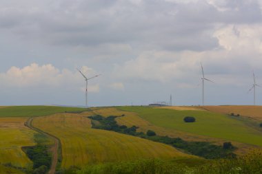Tekirdağ yolunda tarlalar.