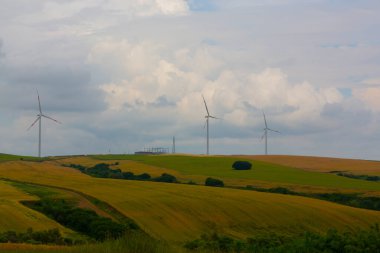 Tekirdağ yolunda tarlalar.