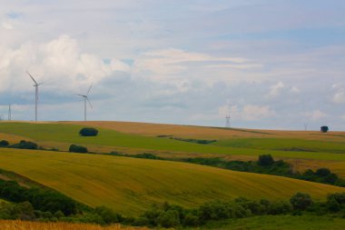 Tekirdağ yolunda tarlalar.