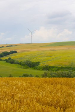 Tekirdağ yolunda tarlalar.