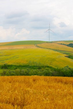 Tekirdağ yolunda tarlalar.