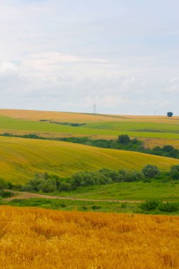 Tekirdağ yolunda tarlalar.