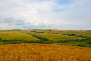 Tekirdağ yolunda tarlalar.