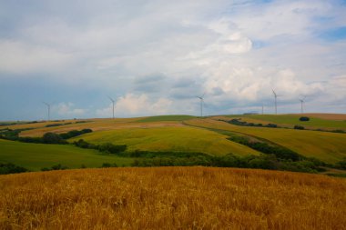 Tekirdağ yolunda tarlalar.