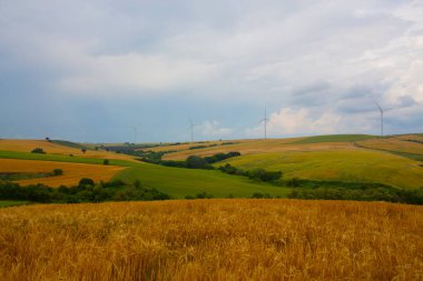 Tekirdağ yolunda tarlalar.