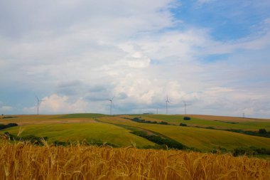 Tekirdağ yolunda tarlalar.