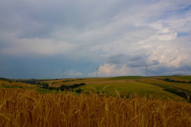 Tekirdağ yolunda tarlalar.