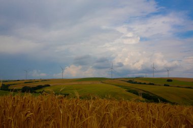 Tekirdağ yolunda tarlalar.