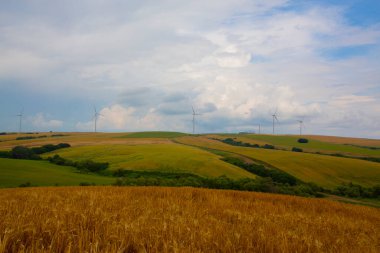 Tekirdağ yolunda tarlalar.