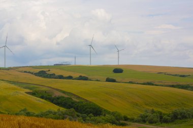 Tekirdağ yolunda tarlalar.