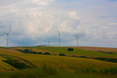 Tekirdağ yolunda tarlalar.