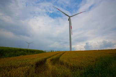 Tekirdağ yolunda mahsul tarlaları. / Türkiye.