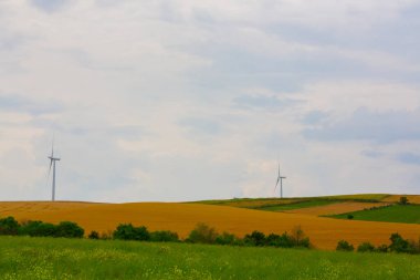 Tekirdağ yolunda mahsul tarlaları. / Türkiye.