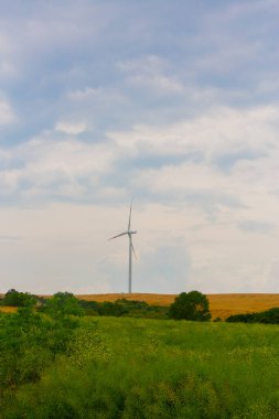Tekirdağ yolunda mahsul tarlaları. / Türkiye.