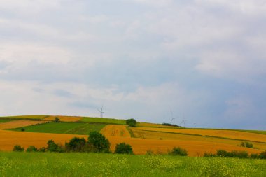 Tekirdağ yolunda mahsul tarlaları. / Türkiye.