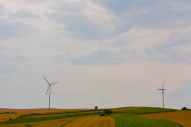 Tekirdağ yolunda mahsul tarlaları. / Türkiye.