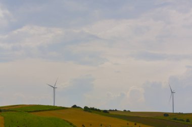 Tekirdağ yolunda mahsul tarlaları. / Türkiye.