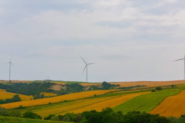 Tekirdağ yolunda mahsul tarlaları. / Türkiye.