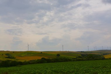 Tekirdağ yolunda mahsul tarlaları. / Türkiye.