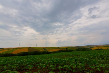 Tekirdağ yolunda mahsul tarlaları. / Türkiye.