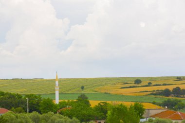 Tekirdağ yolunda mahsul tarlaları. / Türkiye.