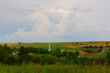 Tekirdağ yolunda mahsul tarlaları. / Türkiye.