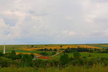 Tekirdağ yolunda mahsul tarlaları. / Türkiye.